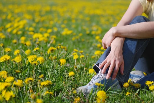 Torso of woman sitting in beautiful field of dandelions