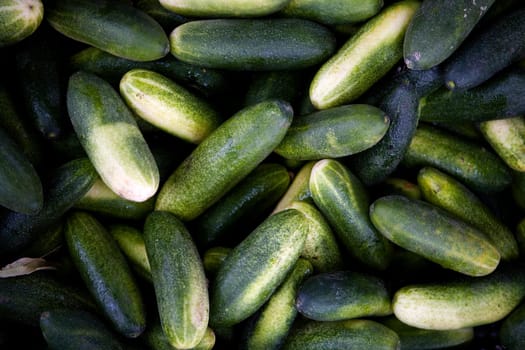 Full Frame of Green Cucumbers