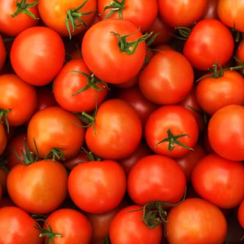 Full Frame of Red Tomatoes