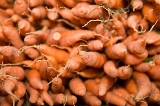 Full Frame of colorfull Carrots