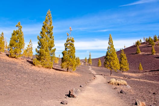 Hiking trail on Mount Teide