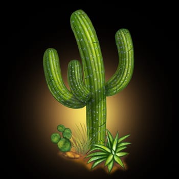 Cactus desert plant on black background representing a hot arid weather tropical climate usually found in Mexico or Arizona.