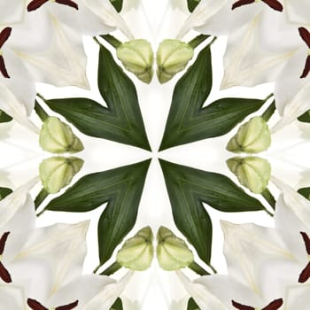 an abstract kaleidoscope background on white background