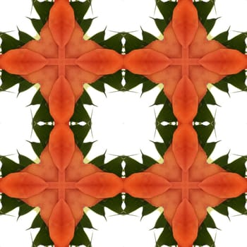 an abstract kaleidoscope background on white background