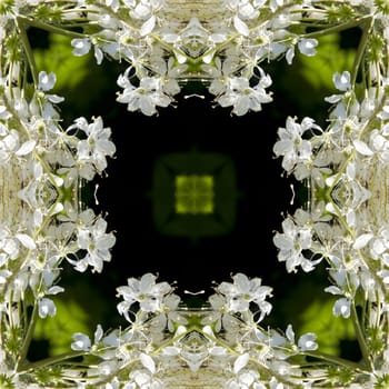 an abstract kaleidoscope background on white background