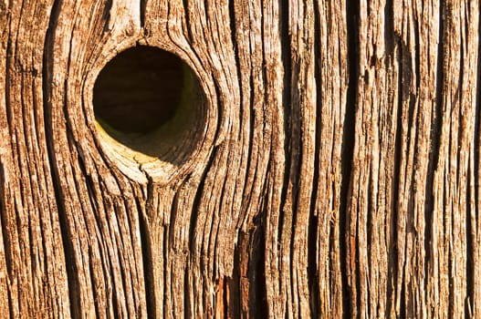 Knothole