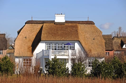 Thatched roof house