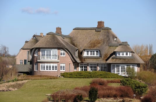 Thatched roof house