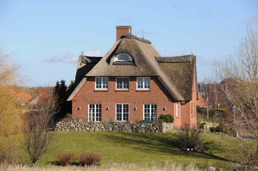 Thatched roof house