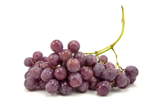 bunch of blue grapes on white background