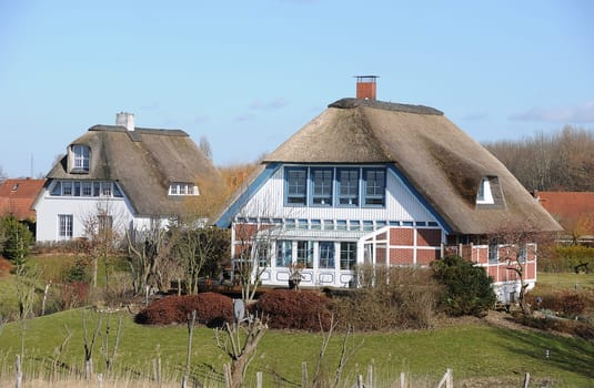 Thatched roof house