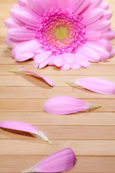 beauty concept with wood background and gerbera