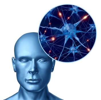 Human intelligence brain medical symbol represented by a close up of active neurons and organ cell activity related to neurotransmitters showing intelligence with memory and healthy cognitive thinking activity.