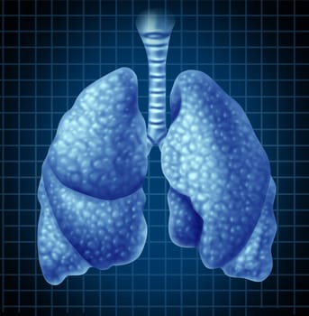 Human lungs organ as a medical health symbol representing the respiratory tract and breathing system showing the anatomy of the healthy respiration concept on a blue grid background.