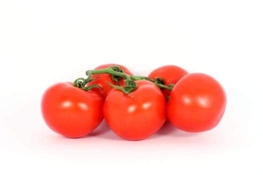 Red tomatoes on the branch isolated on white
