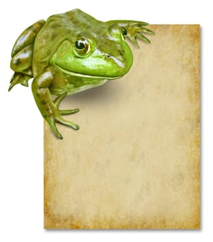 Frog with blank grunge old paper sign representing an advertisement or award certificate presented by a green happy amphibian with white background.