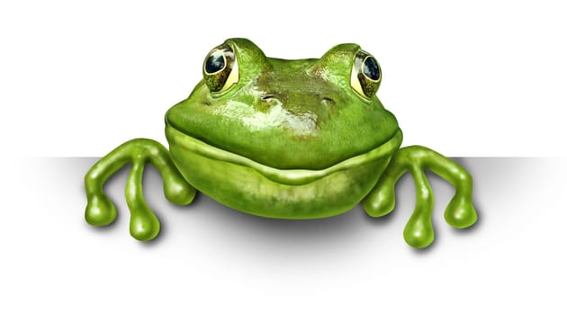 Frog holding a blank sign front view represented by a green happy smiling amphibian holding a white background card for an advertising promotion presenting an important announcement.