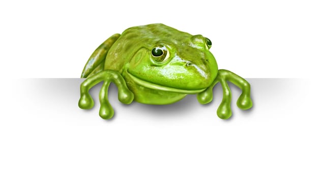 Green frog with a blank sign sitting on the top of a white card background representing an advertisement presented by a green happy amphibian was a promoter and presenter spokesperson character.