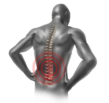 Human back pain in red showing the spinal cord skeleton inside the patients anatomical grey body.