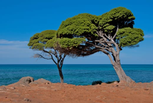 Bunkers Beach,Western Australia
