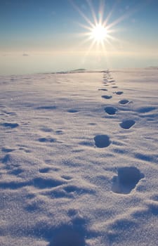 Towards the sun