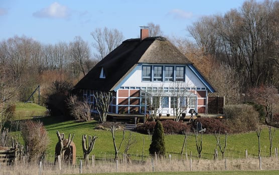 Thatched roof house