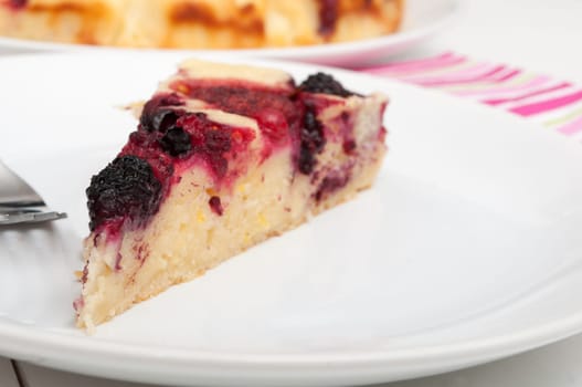 Homemade Cake With Forest Fruit - Shallow Depth of Field