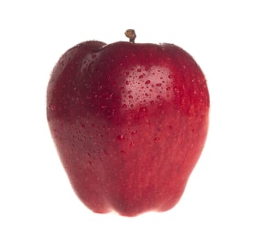 Fresh red apple on white background
