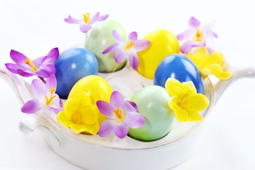 Beautiful Crocuses for Easter and eggs