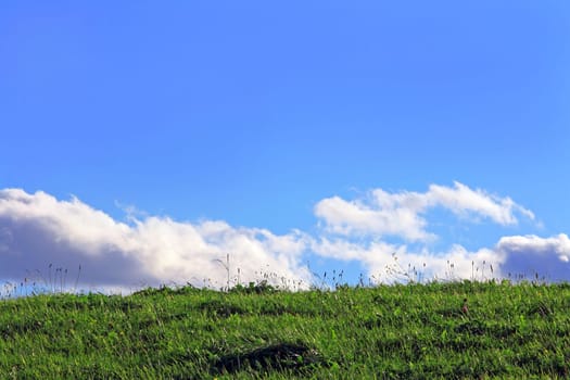 Heaven and Earth