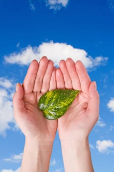 conceptual care of plants. hands holding leaf on sky background