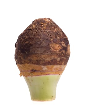 Taro on white background