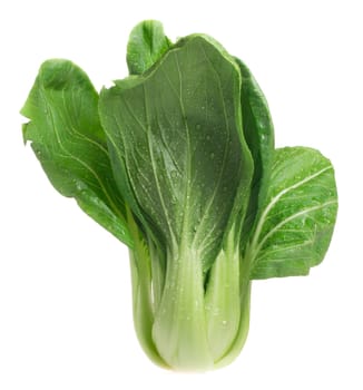 Pok Choi on white background