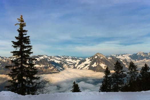 above the clouds