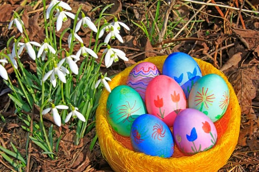 brightly painted Easter eggs and blooming snowdrops (Galanthus nivalis)