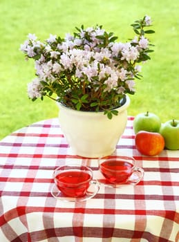 Two cups of tea served in the garden