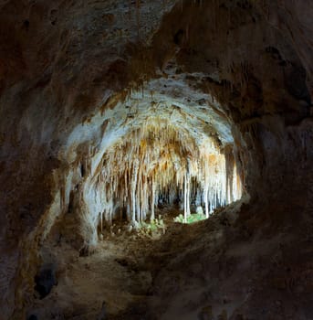 Carlsbad Cavern National Park in New Mexico