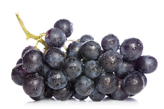ripe blue grapes over a white background