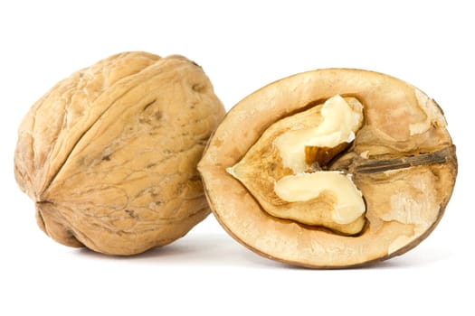 close up of a dried walnuts on white background