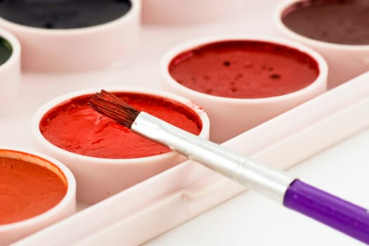 close-up of paintbrush on watercolor paint tray