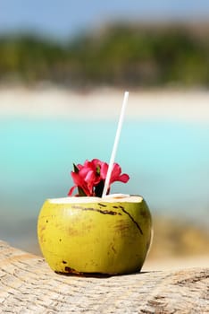 Coconut with drinking straw on a palm tree at the sea