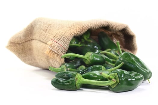 fresh green pimientos against white background