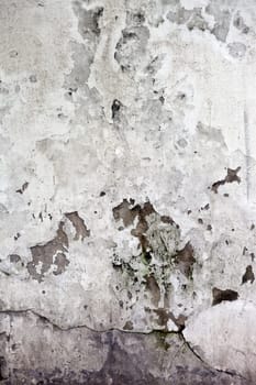 The Grunge cracked concrete wall for design