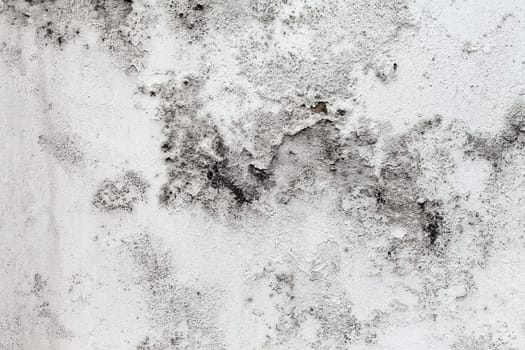 The Grunge cracked concrete wall for design