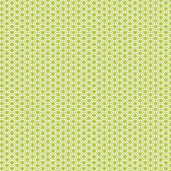 the vintage shabby background with classy patterns