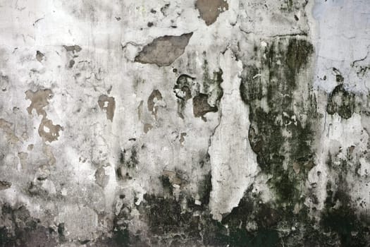 The Grunge cracked concrete wall for design