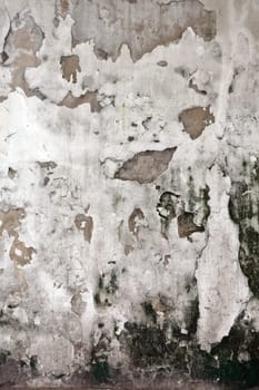 The Grunge cracked concrete wall for design