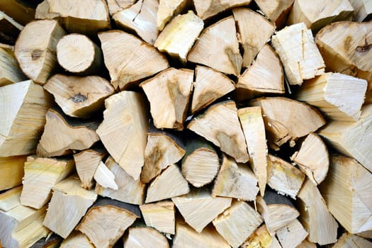 Firewood freshly stacked