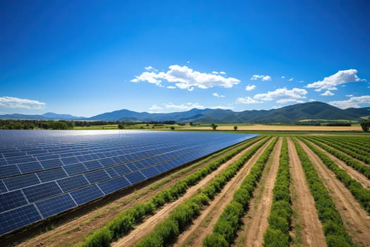 Solar panel park in a field. Solar energy concept.