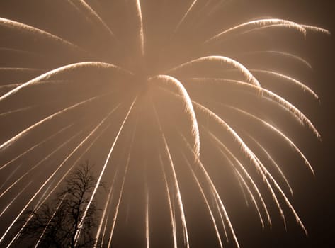 Fireworks